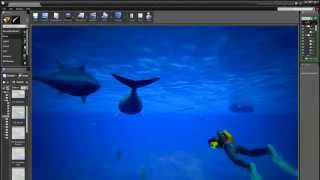 Improved UE4 Fish Schooling AI [upl. by Henni]