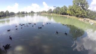 Rc Drone Fishing [upl. by Renaldo]