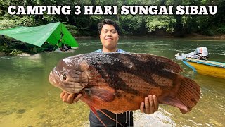 Camping fishing 3 hari hujan deras pertualangan dapat ikan kaloi besar panggang ikan makan di hutan [upl. by Jojo]