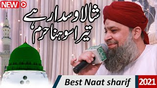 ya shafi e umam  Lillah kardo karam Punjabi Urdu Mix Naat Sharif  Shala Wsda Rehe Tera Sona Haram [upl. by Akitnahs]