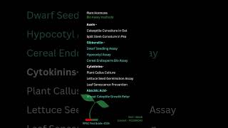 Bio Assay Methods of Plant Hormones 🌱🌰🍃🌺 [upl. by Stark]