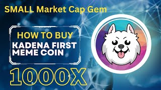 How To Buy Kishu Ken  Kadena First Meme Coin crypto kadena kda [upl. by Ellah]