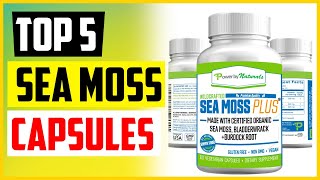 TOP 5 Best Sea Moss Capsules of 2022 [upl. by Younger]