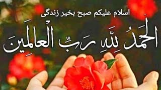 SURAH BAGRAHA KI TELAWAT AUR TERJUMA PLEASE FORforyouyt [upl. by Yk521]