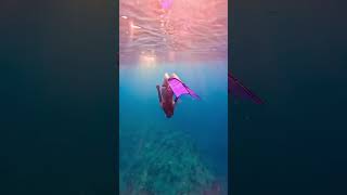 Under Water in usa satisfyingsounds freediving underwater freediver sunset mermaid asmrsounds [upl. by Nagaer]