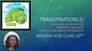 TranspirationPlantPhysiologyPart2ExperimentsGanongsPotometerWeighingmethodCobaltChloridePaper [upl. by Zeralda]