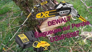 DEWALT DCMPS567 Tronçonneuse élagueuse  revue  test [upl. by Akerahs638]