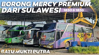 BATU MUKTI PUTRA TAMBAH ARMADA MERCY O500R 1830 amp 1836 DARI PO MANGGALA TRANS 😯🔥🔥 [upl. by Atteuqaj]