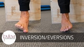 Ankle InversionEversion [upl. by Jezabel]