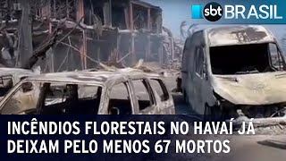 Incêndios florestais no Havaí já deixam pelo menos 67 mortos  SBT Brasil 110823 [upl. by Etnuahc]