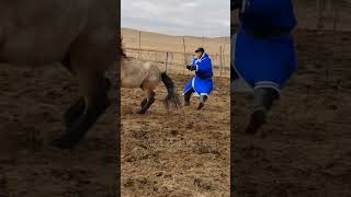 What I should do equestrian horse rider wildhorses shorts viralshorts youtubeshorts [upl. by Sheedy261]