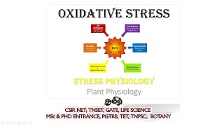 Oxidative stress in plants Plant physiology Tamil CSIR NET TNSET GATE  PGTRB BSc MSc [upl. by Eelinnej]