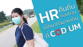 1 วัน กับ HR CODIUM  Life at CODIUM ep3 [upl. by Aanas]