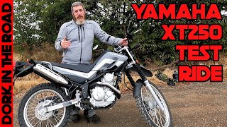 Yamaha XT250 Test Ride and First Impressions Quite Possibly The Best Dual Sport for Short Riders [upl. by Hadsall]