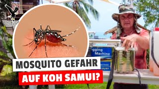 Mosquito Gefahr in Thailand [upl. by Nabois]