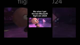 When you get the last Microsoft flight sim 2024 💀 memes [upl. by Koball]