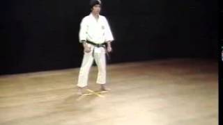 Jitte  Shotokan SKIF  Hirokazu Kanazawa [upl. by Brew]