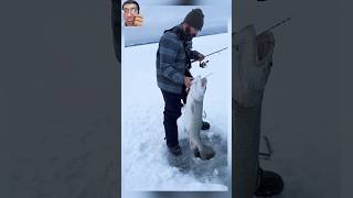 Ice fishing skills [upl. by Noivax]