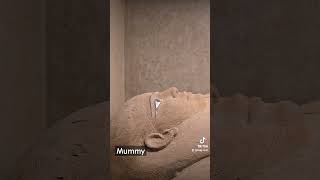 mummy saqqara eygpt pyramidsofegypt cairo مصر الاهراما قاهرة [upl. by Lajib144]