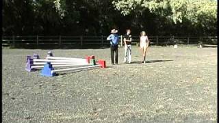 Pro Tips for Cavaletti Training – How to Space Cavaletti Horse Jumps [upl. by Nihhi]