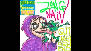 PilzeFressenFelsen  Jung  naiv  gutaussehendkomplette EP [upl. by Atrebla]