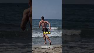 Back workouts with dumbbells  Back exercises gym  Back workout [upl. by Aitnuahs]