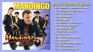 Grupo Mandingo Mix ❤ Las mejores canciones románticas de Grupo Mandingo Mix 2024 ❤ Listen For Love [upl. by Moe]