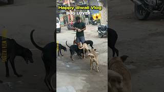 Dog lover ❤️ Happy Diwali 🎇🪔  dog doglover diwali minivlog shortsvideo shorts youtubeshorts [upl. by Rivera]