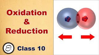 Oxidation and Reduction  in Hindi for Class 10 [upl. by Purpura]