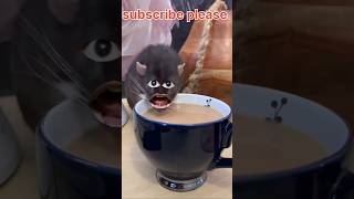 Billi ne meri chai Pi Li kapde mein se aur chai Ko faila Diya cat 🐈😺 comedy billi cats funny [upl. by Westbrooke455]