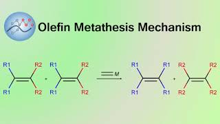 Olefin Metathesis Mechanism  Organic Chemistry [upl. by Ketti771]