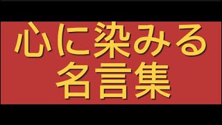 【名言集】感動の名言集  人生を変える言葉たち [upl. by Semajwerdna]