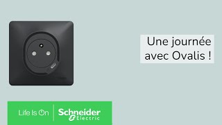 Une journée avec Ovalis  La nouvelle collection dappareillages  Schneider Electric [upl. by Nylleoj]