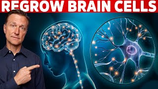 Renew amp Protect Your Brain Cells  Brain Derived Neurotrophic Factor – Dr Berg [upl. by Meingoldas]