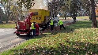 Leaf Collection Crews Raking [upl. by Anjali677]