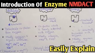 Introduction Of Enzyme  NMDCAT 2022  Enzyme [upl. by Aivon747]