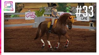 Horse Life Part 33 Horse Game [upl. by Uyerta927]