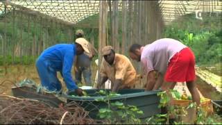 Reportage sur lîle de Mayotte [upl. by Elsie]