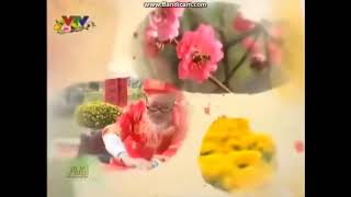 VTV ident Tết 2014 [upl. by Ellerrad189]