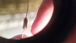 Peavey Classic 30 transformer fuse repair pt811 [upl. by Onaimad]