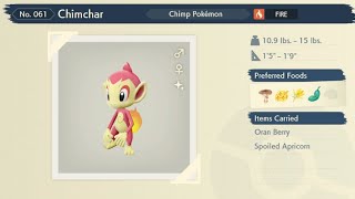 Pokémon Legends Arceus Shiny Chimchar [upl. by Erasaec]