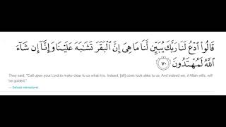 Surah Baqarah Ayah 70 15 times repeated by Qariah Asma Huda For Sisters Only [upl. by Einej]