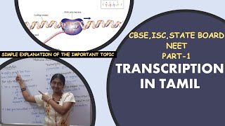 Transcription In Tamil Class 12 NEET Transcription Unit IMPORTANT QUESTIONS DISCUSSED🔥🔥 [upl. by Hamehseer409]