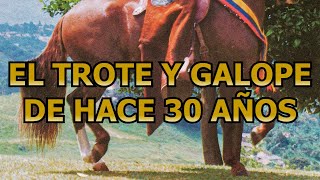 FENOTIPOCADENCIAYEGUASTROTONASGALOPERASASOCABA1993 troteygalope horse shortsvideo [upl. by Kirbee]