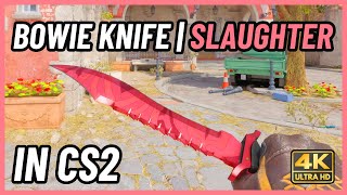 ★ CS2 Bowie Knife Slaughter  CS2 Knife InGame Showcase 4K [upl. by Augustina]