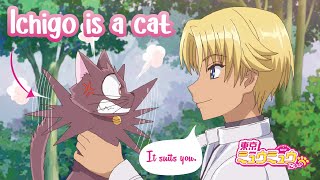 Im a cat Ichigo transforms ✿ Tokyo Mew Mew New♡ Episode 10 [upl. by Pamelina]