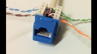 Connect Cat6 cable to Jack [upl. by Guidotti631]