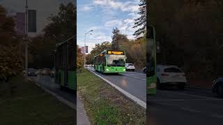 Autobuzul MercedesBenz Citaro Hybrid 7007 pe linia 301 AlexSpottingstb7007 [upl. by Latsyrhk]