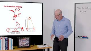 Biomechanics of Movement  Lecture 42 Basic Muscle Properties ForceLength and ForceVelocity [upl. by Abroms]