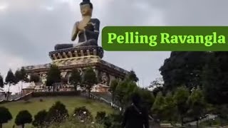 Pelling ravangla ll Golapi Dutta [upl. by Yllil]